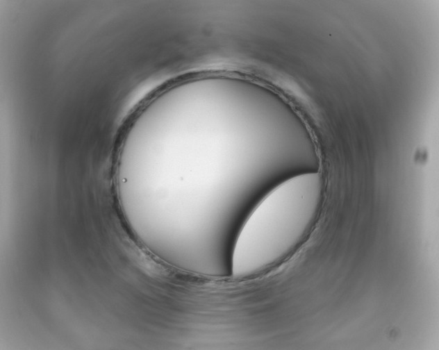 X0000092081216200709121059