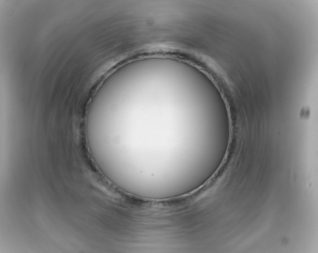 X0000092081217200709121059