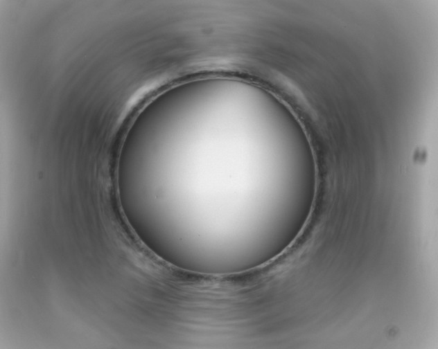 X0000092081218200709121059