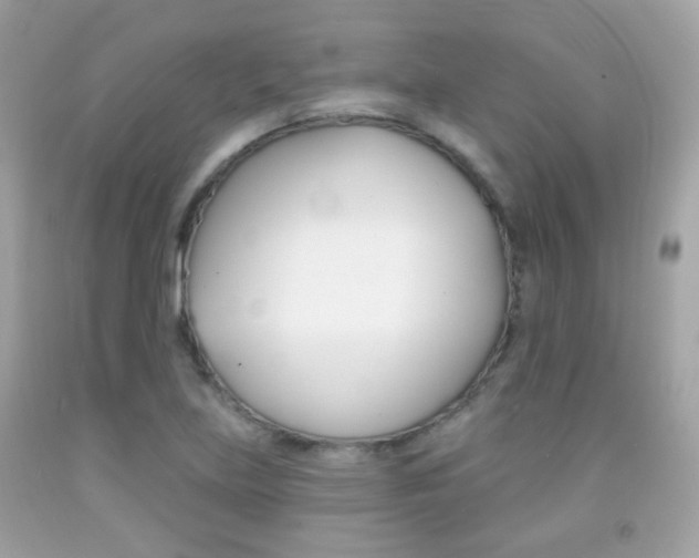 X0000092081219200709121059