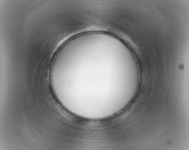 X0000092081220200709121059