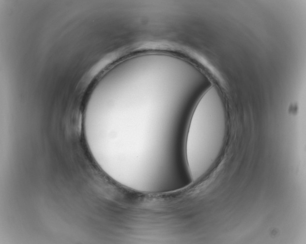 X0000092081221200709121059