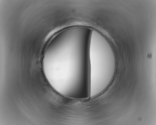 X0000092081222200709121059