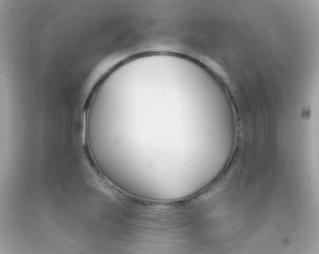 X0000092081223200709121059