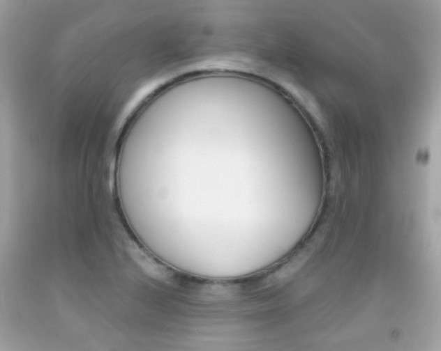 X0000092081224200709121059