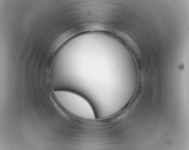 X0000092081225200709121059