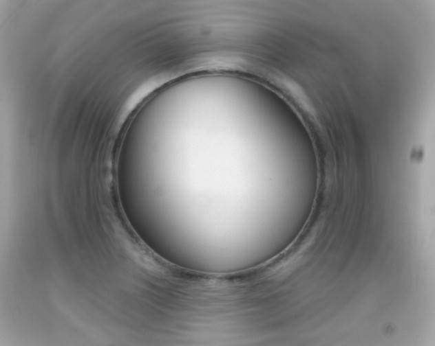 X0000092081226200709121059