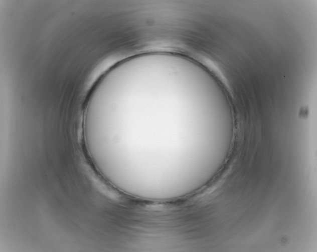 X0000092081227200709121059
