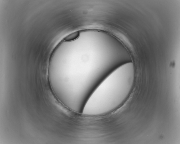 X0000092081228200709121059