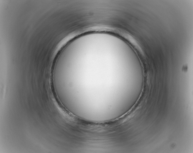 X0000092081229200709121059