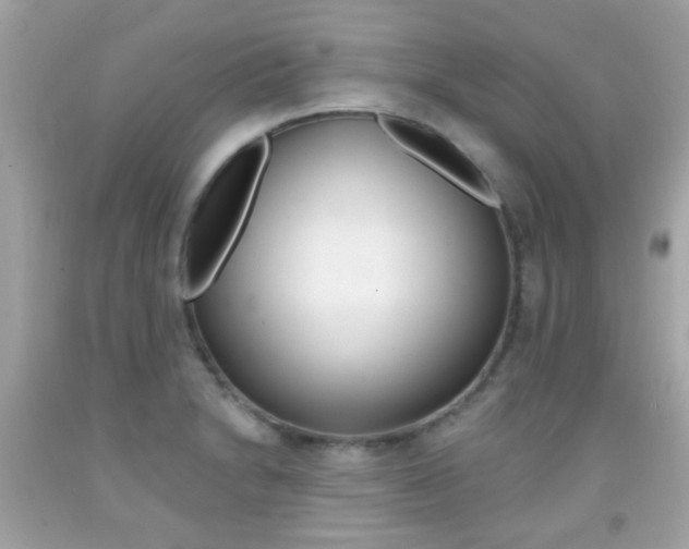 X0000092081230200709121059