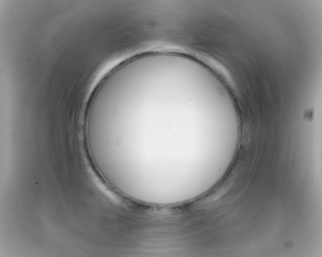 X0000092081231200709121059