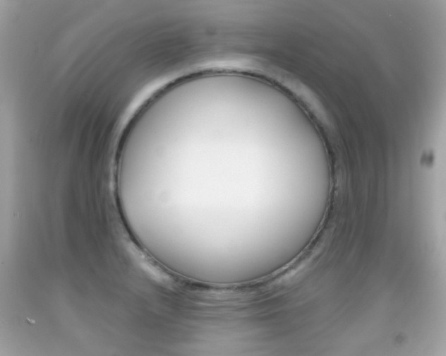 X0000092081232200709121059