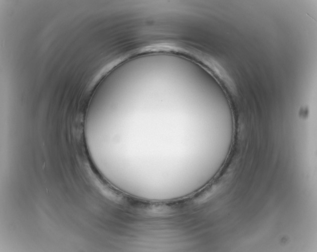 X0000092081233200709121059