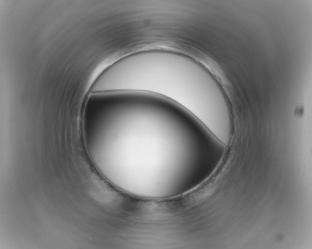 X0000092081234200709121059