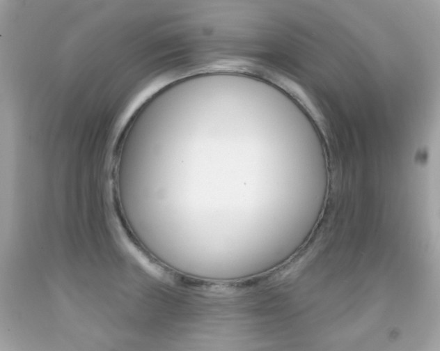 X0000092081235200709121059