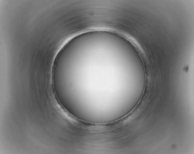 X0000092081236200709121059