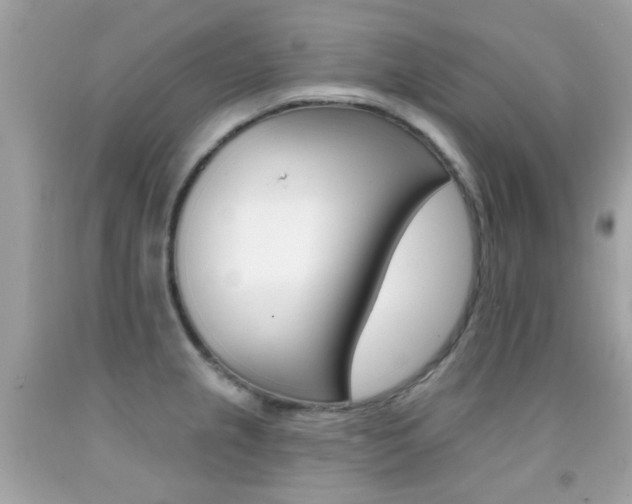 X0000092081237200709121059