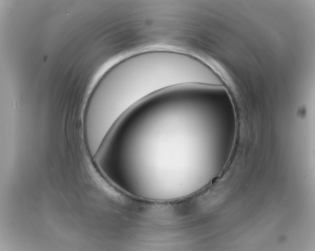 X0000092081238200709121059