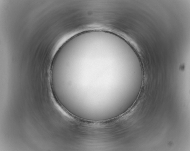 X0000092081239200709121059