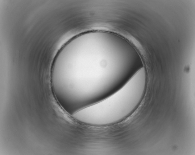X0000092081240200709121059