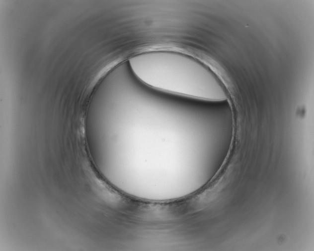 X0000092081241200709121059