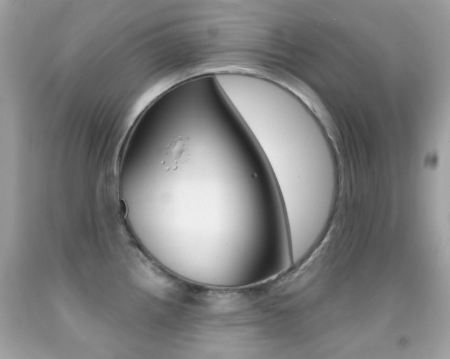X0000092081242200709121059