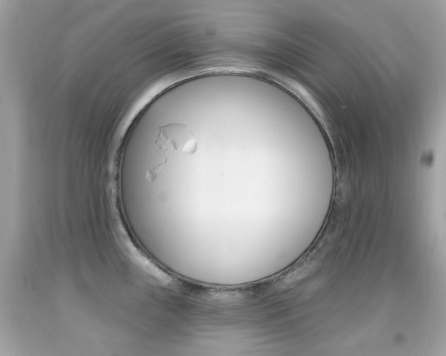 X0000092081243200709121059