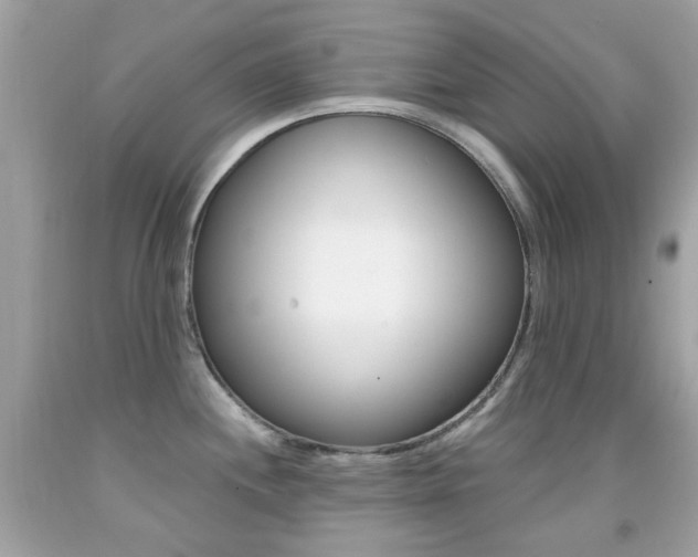 X0000092081244200709121059