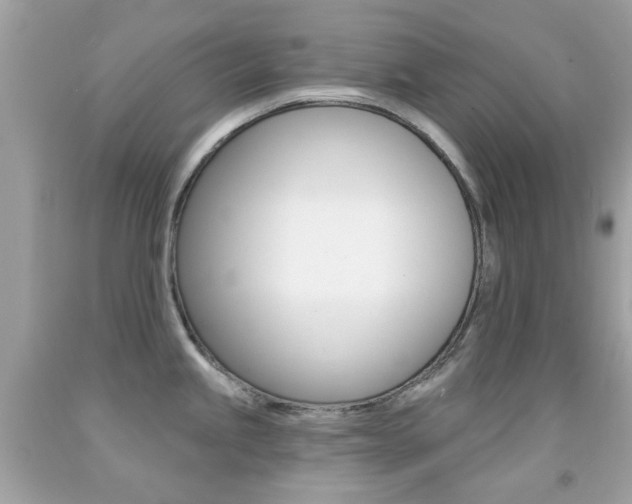 X0000092081245200709121059