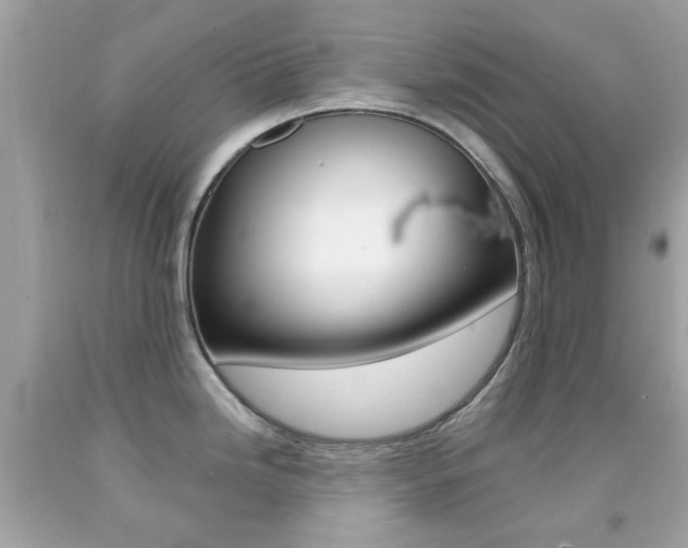 X0000092081246200709121059