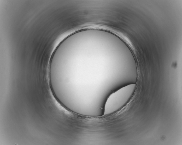 X0000092081247200709121059