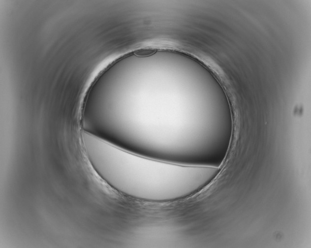 X0000092081248200709121059