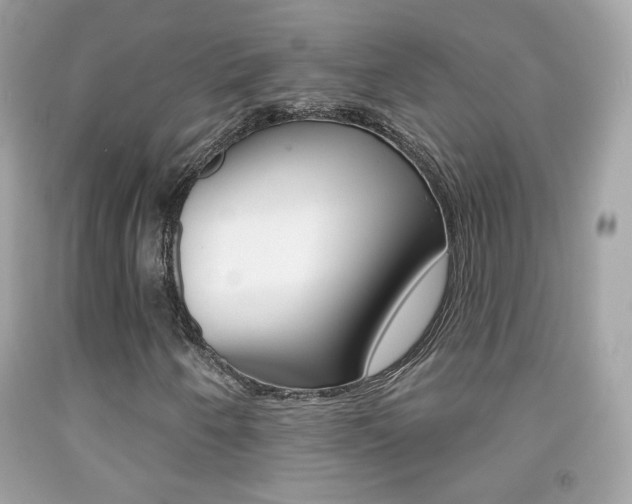X0000092081250200709121059