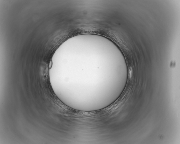 X0000092081251200709121059