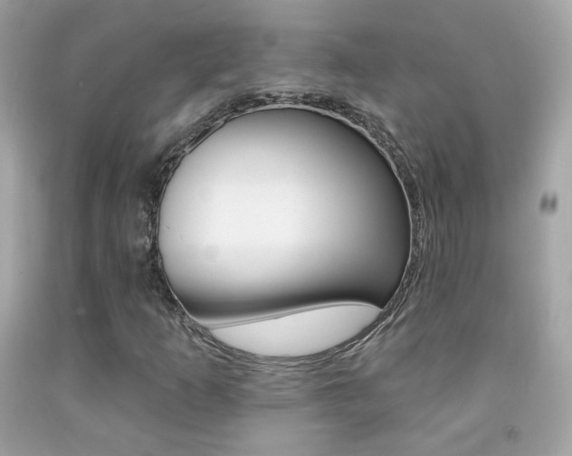 X0000092081253200709121059