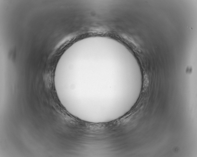X0000092081254200709121059