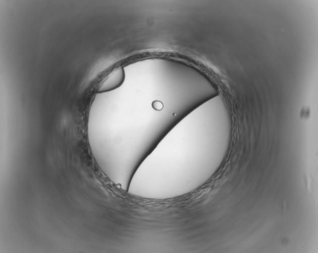 X0000092081255200709121059