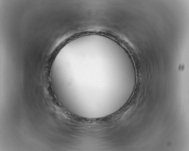 X0000092081256200709121059