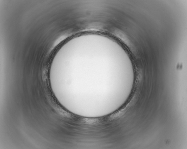 X0000092081258200709121058