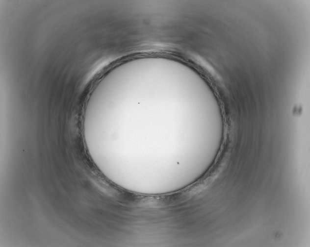 X0000092081259200709121058
