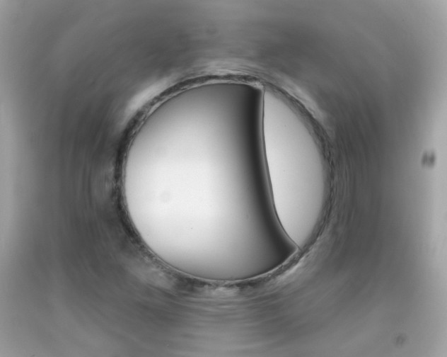 X0000092081261200709121058