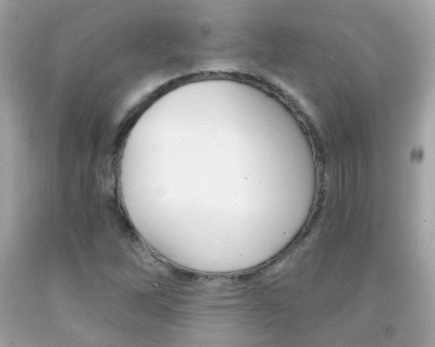 X0000092081262200709121058
