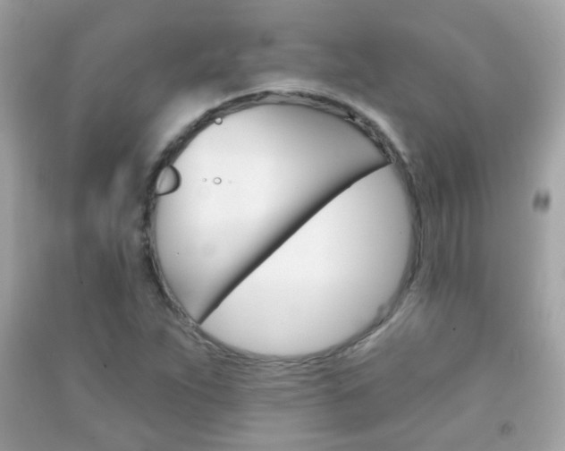X0000092081263200709121058