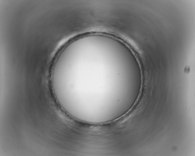 X0000092081264200709121058