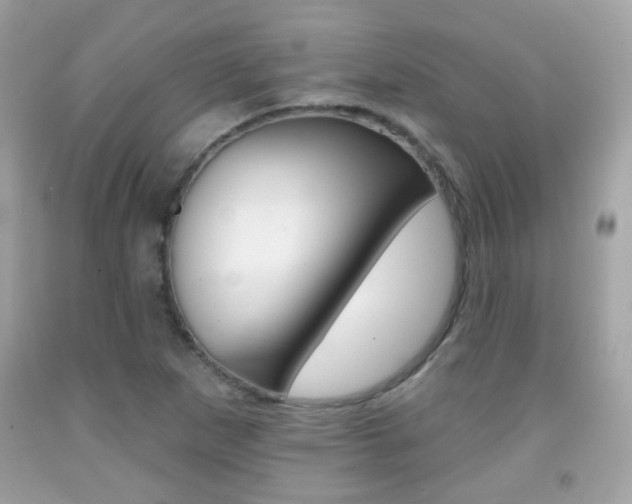 X0000092081265200709121058
