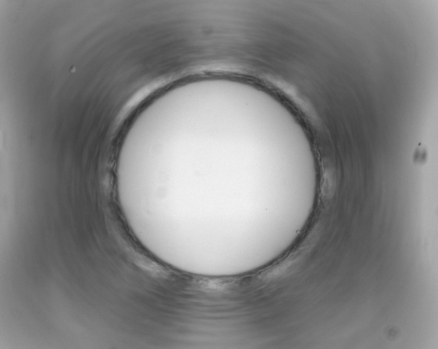 X0000092081266200709121058
