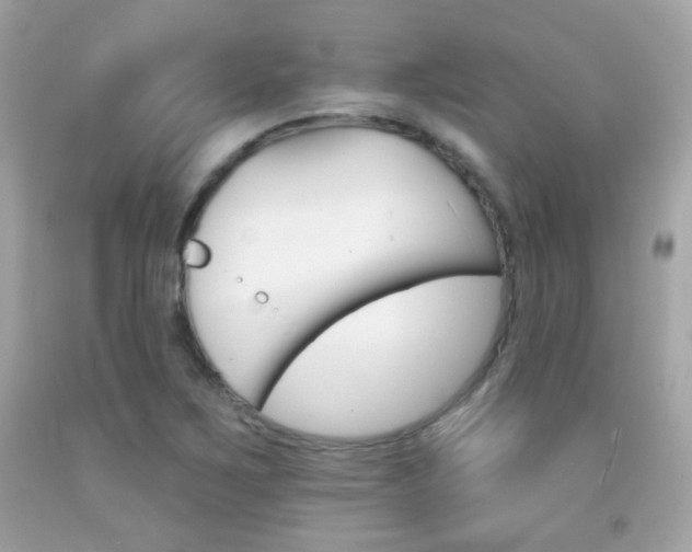X0000092081267200709121058