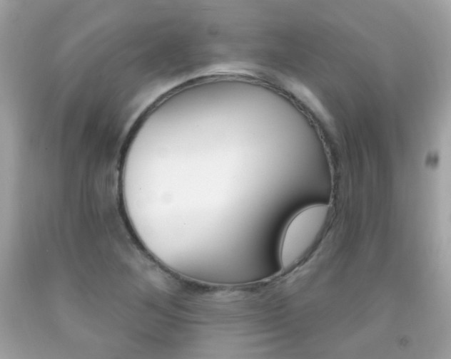 X0000092081268200709121058