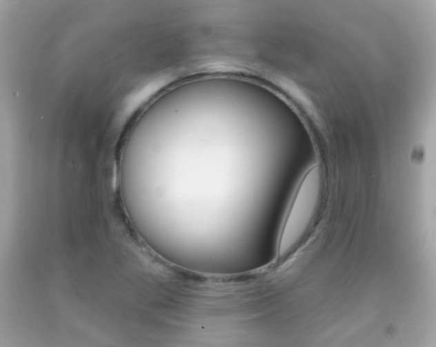 X0000092081269200709121058